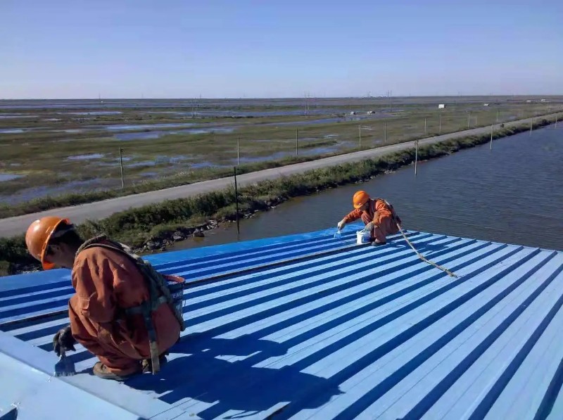 六安彩钢瓦屋面防腐翻新